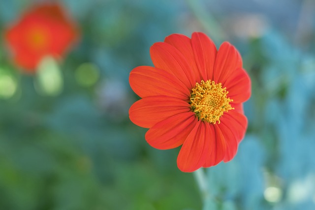 整个足球界 整个足球界