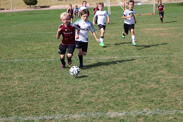 大和解读 大和解读