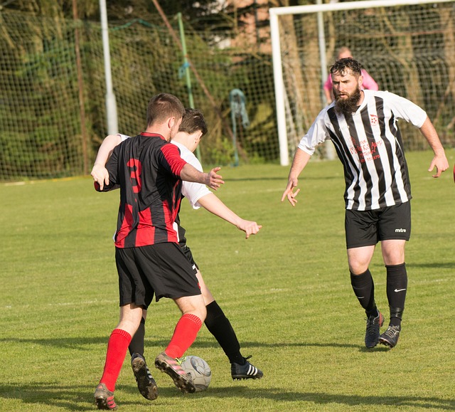 的温情事件 的温情事件