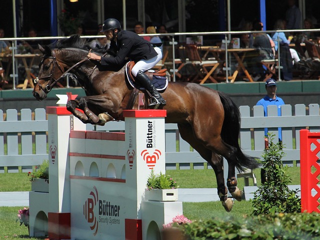 仅是个得分 仅是个得分